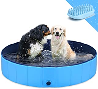 piscina para perros